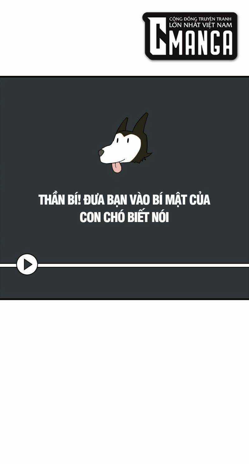 Tôi Vô Địch Sau Khi Xuống Núi Chapter 19 trang 24