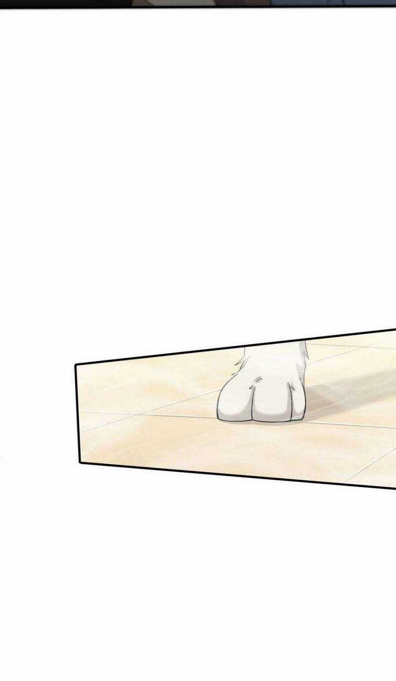 Tôi Vô Địch Sau Khi Xuống Núi Chapter 32 trang 12