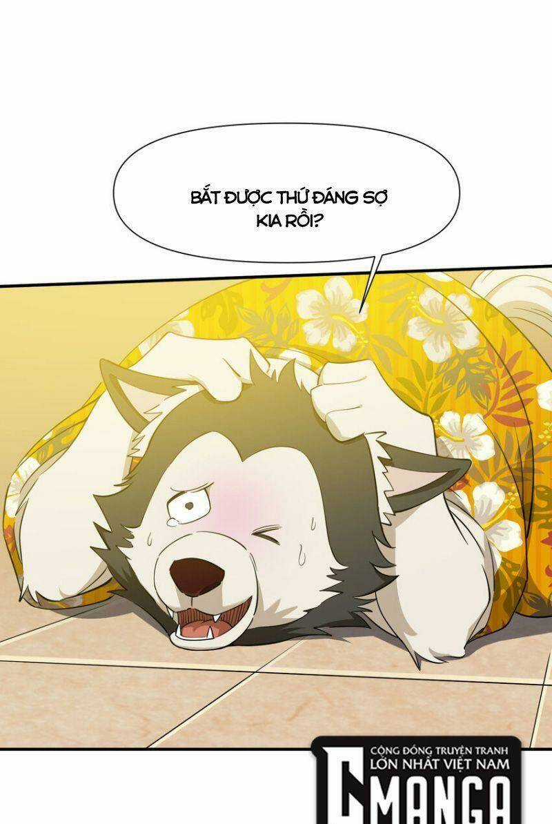 Tôi Vô Địch Sau Khi Xuống Núi Chapter 33 trang 19