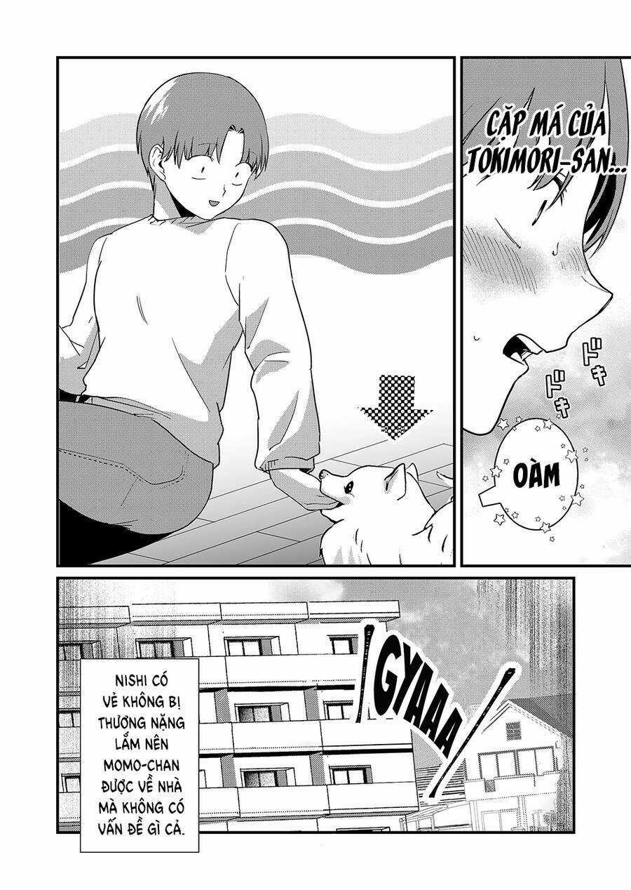 Tokimori-San Chẳng Chút Phòng Bị!! Chapter 26 trang 12