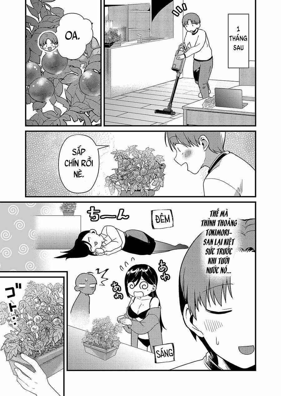 Tokimori-San Chẳng Chút Phòng Bị!! Chapter 40 trang 5