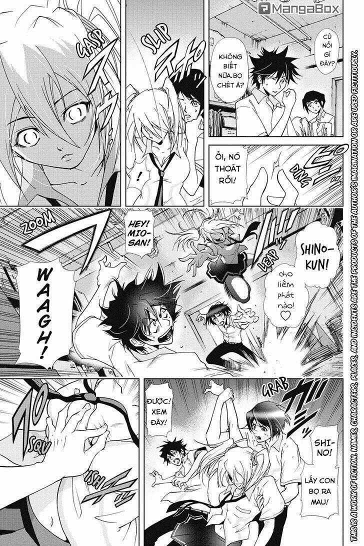 Tokku Hakkenshi Chapter 31 trang 1