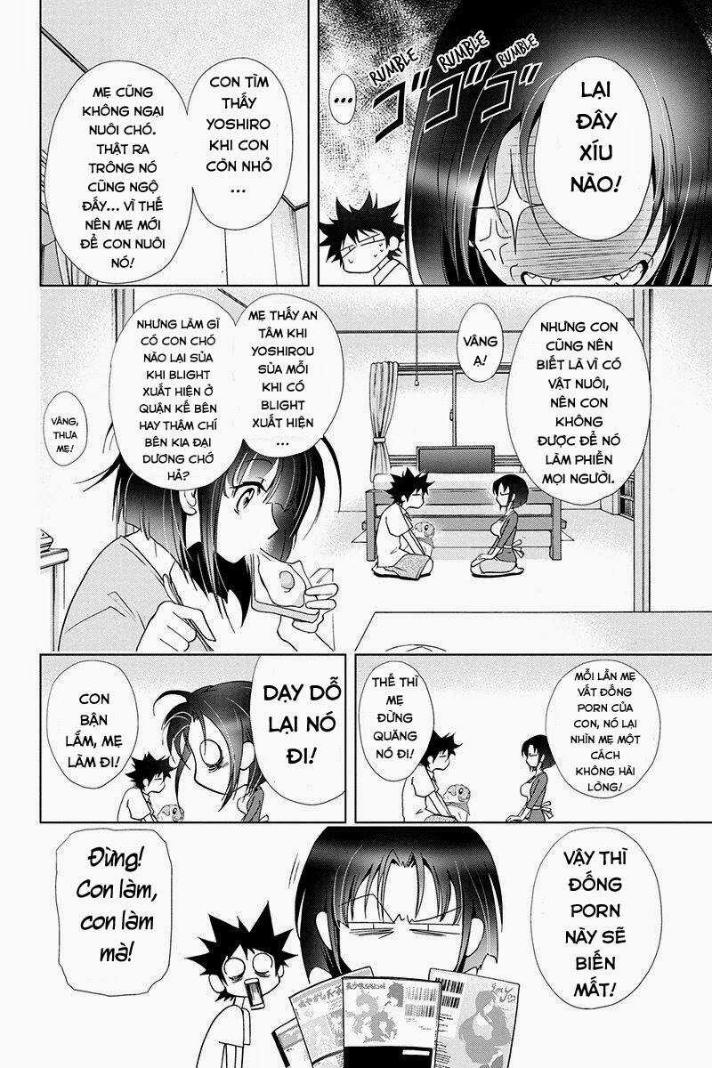 Tokku Hakkenshi Chapter 43 trang 4