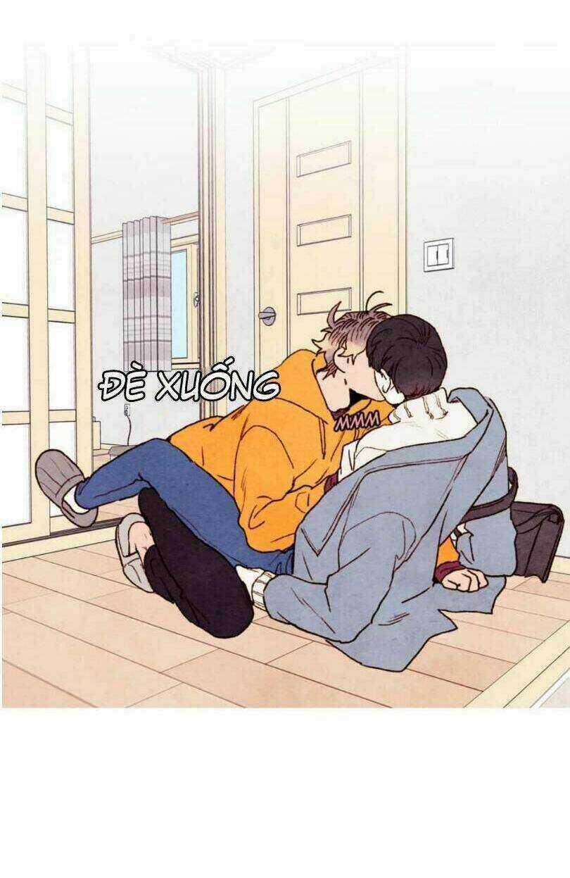 Tokyo Babylon Chapter 29 trang 17