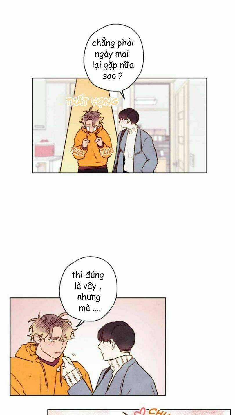 Tokyo Babylon Chapter 30 trang 12