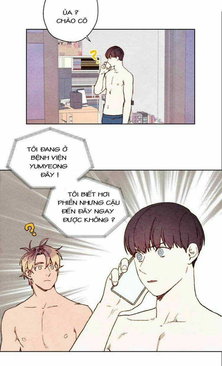 Tokyo Babylon Chapter 34 trang 14