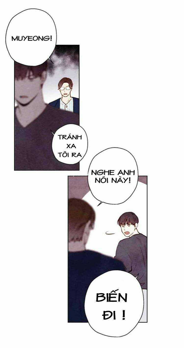 Tokyo Babylon Chapter 37 trang 17