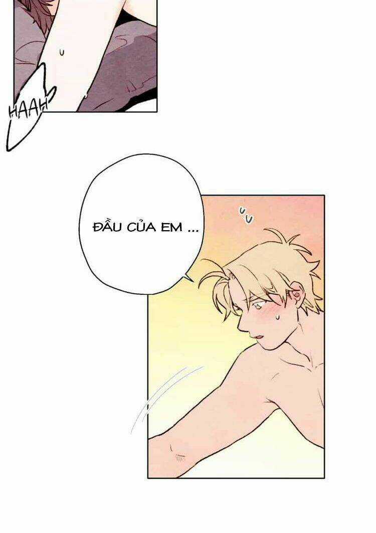 Tokyo Babylon Chapter 40 trang 2