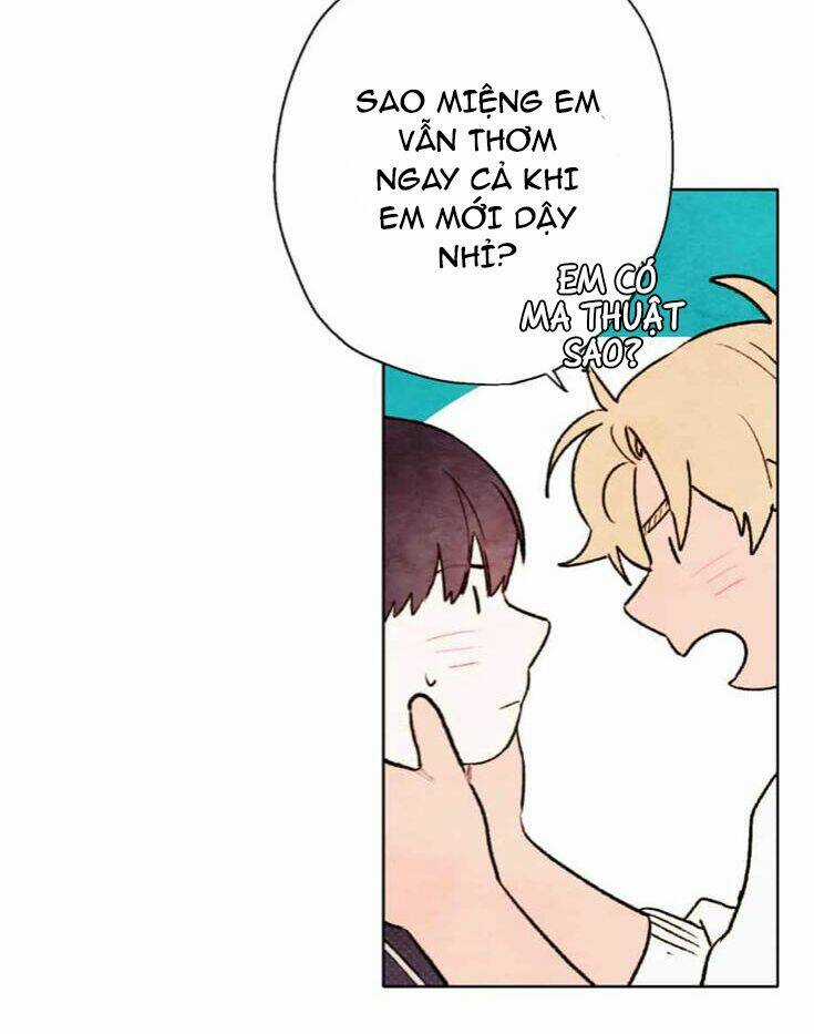 Tokyo Babylon Chapter 42 trang 13