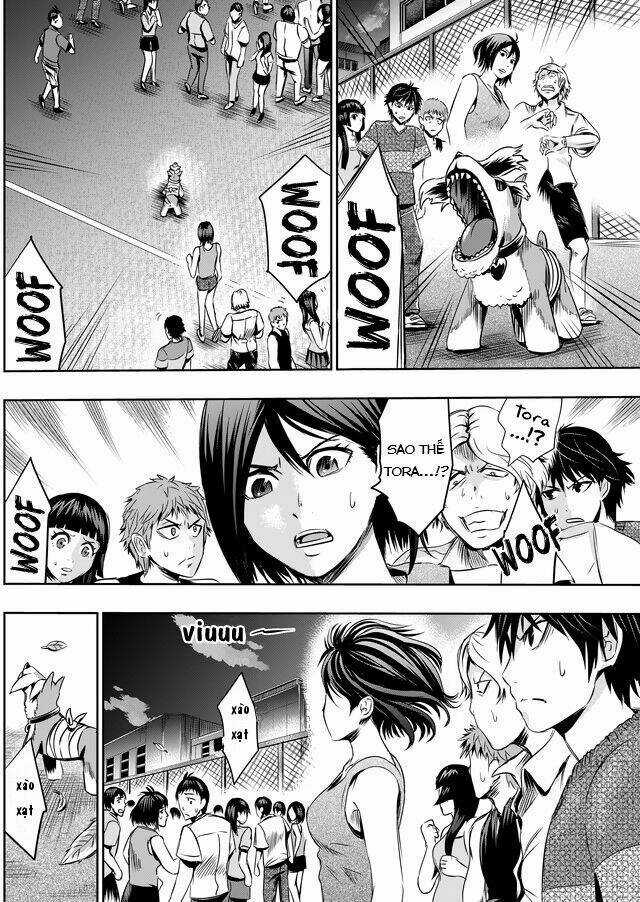 Tokyo Dragon Night Chapter 12 trang 14