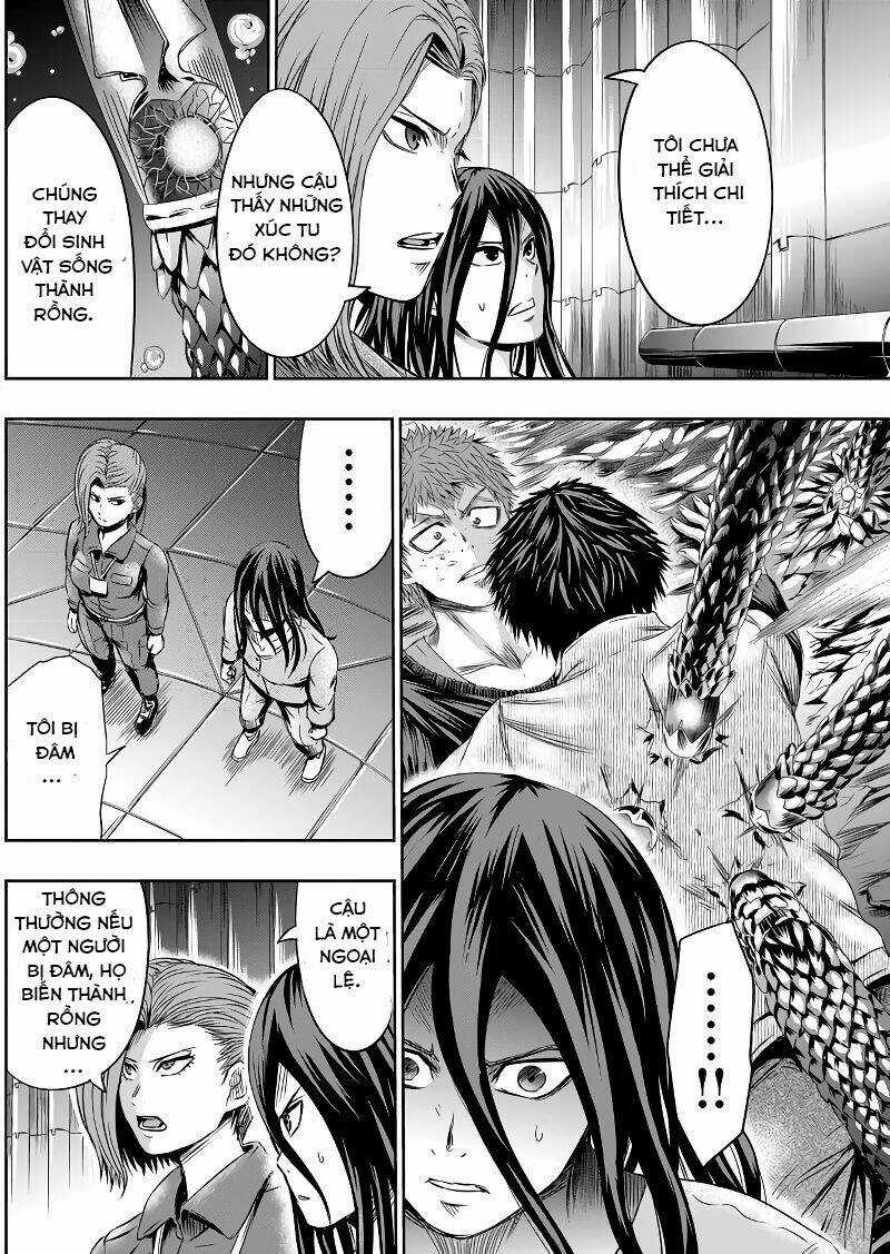 Tokyo Dragon Night Chapter 47 trang 4