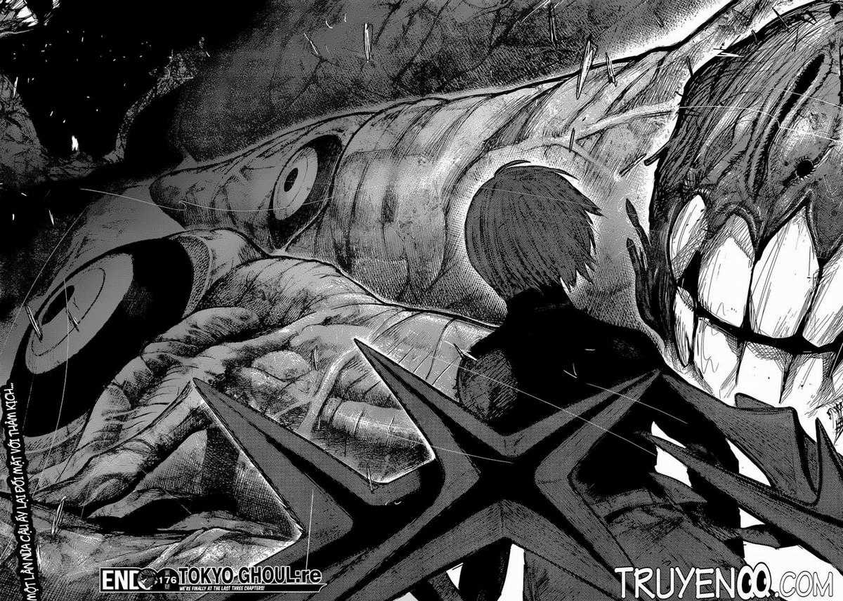 Tokyo Ghoul:re Chapter 176 trang 15