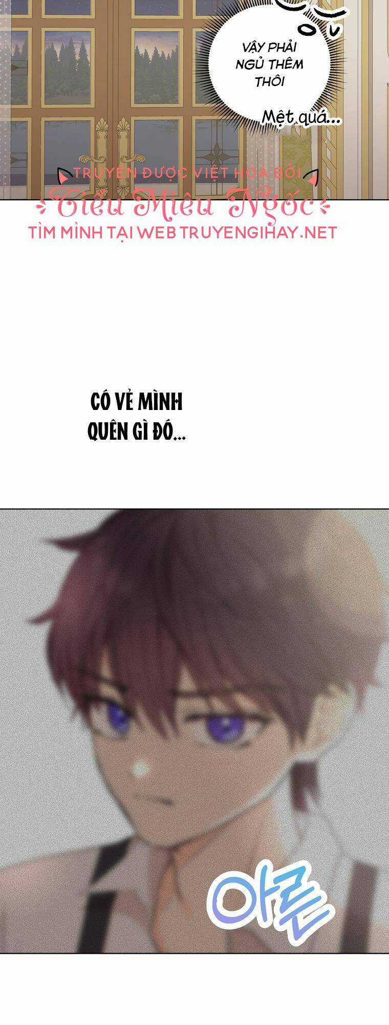 Tồn Tại Như Nàng Công Chúa Dã Chủng Chapter 45 trang 17