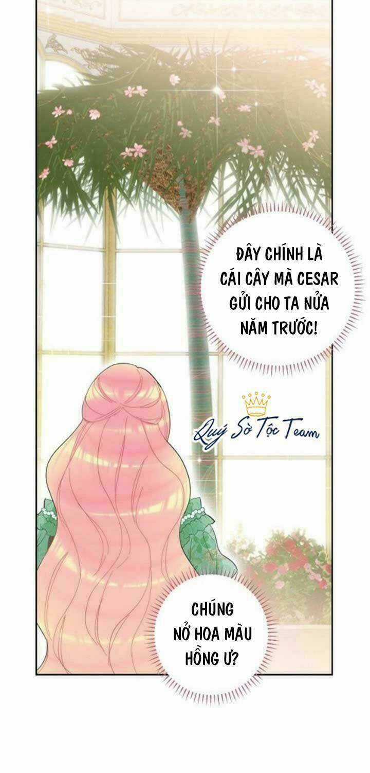 TỒN TẠI VỚI TƯ CÁCH LÀ VỢ CỦA NAM CHÍNH Chapter 24 trang 12