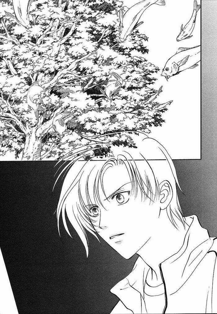 Tonari No Megane-Kun Chapter 2 trang 4