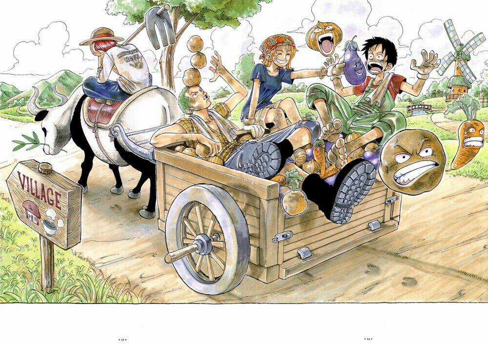 Tổng Hợp Vua Cướp Biển Ảnh Màu Chính Gốc Chapter 1 trang 4