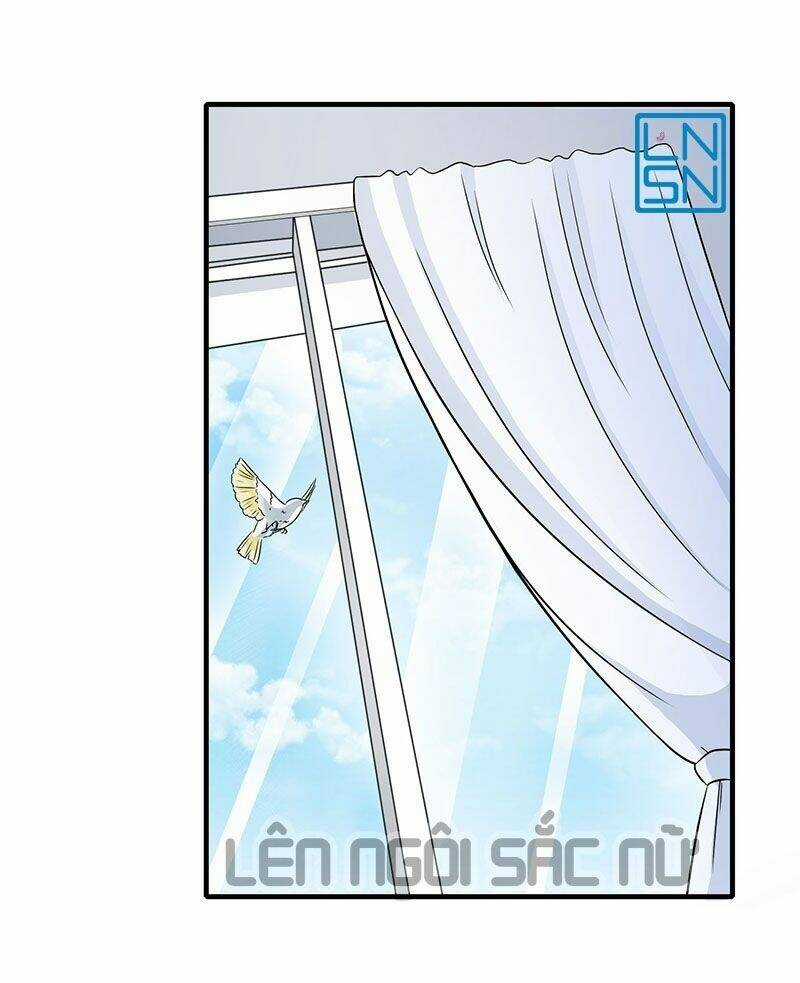 Tổng Tài Cưng Chiều Vợ Yêu Chapter 14 trang 19