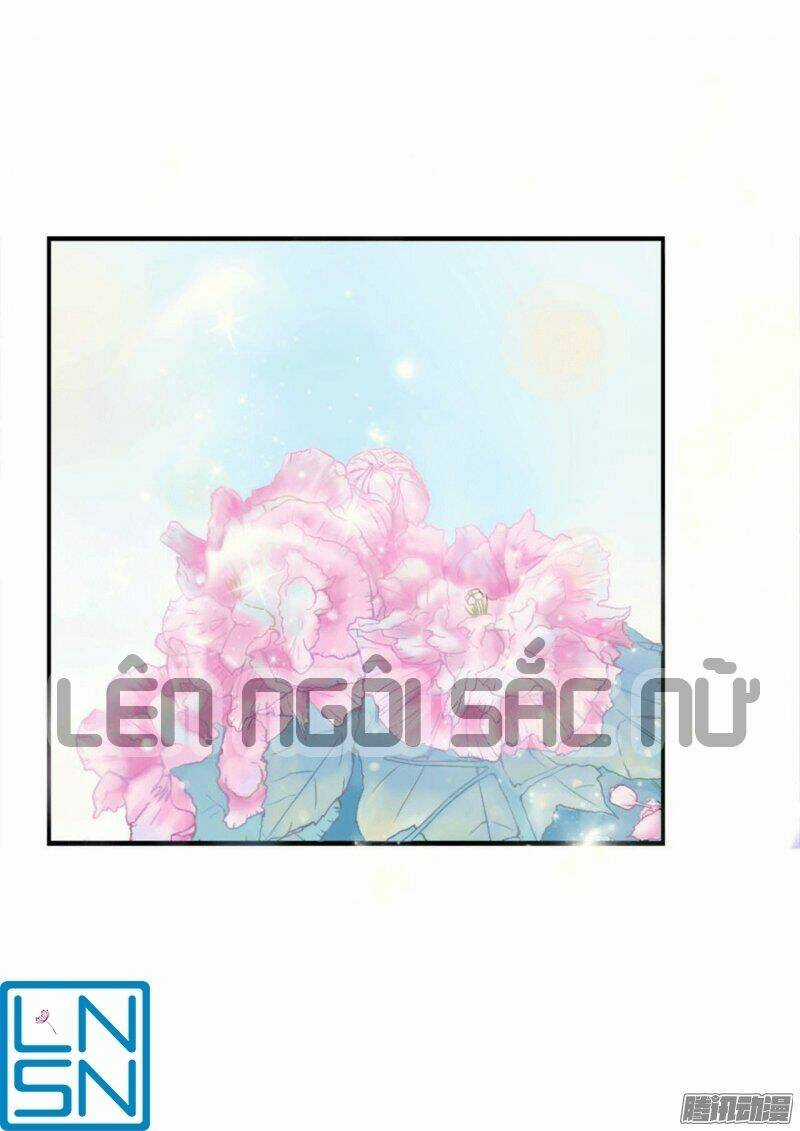 Tổng Tài Cưng Chiều Vợ Yêu Chapter 3 trang 15