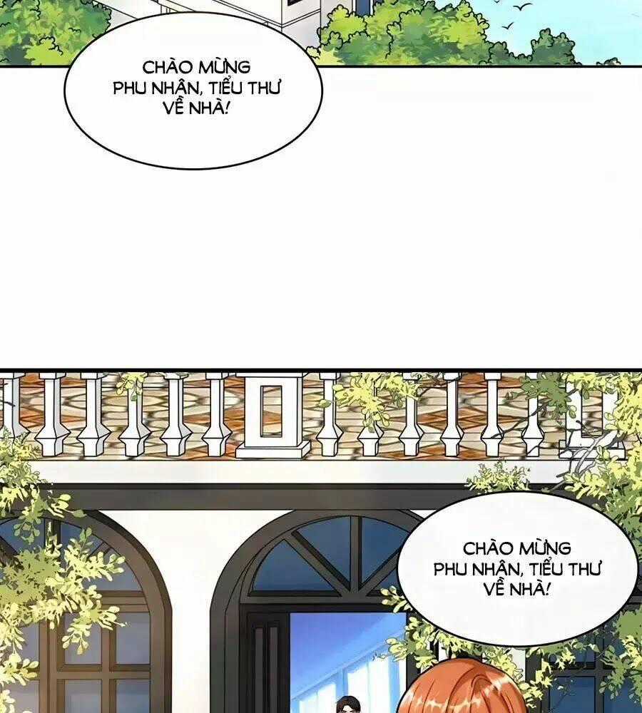 Tổng Tài Daddy Đuổi Tới Nơi Rồi Chapter 15 trang 1