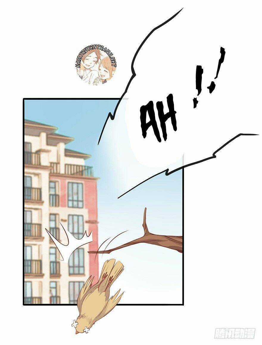 Tổng Tài Đại Nhân Tâm Thiếu Nữ Chapter 4.1 trang 15