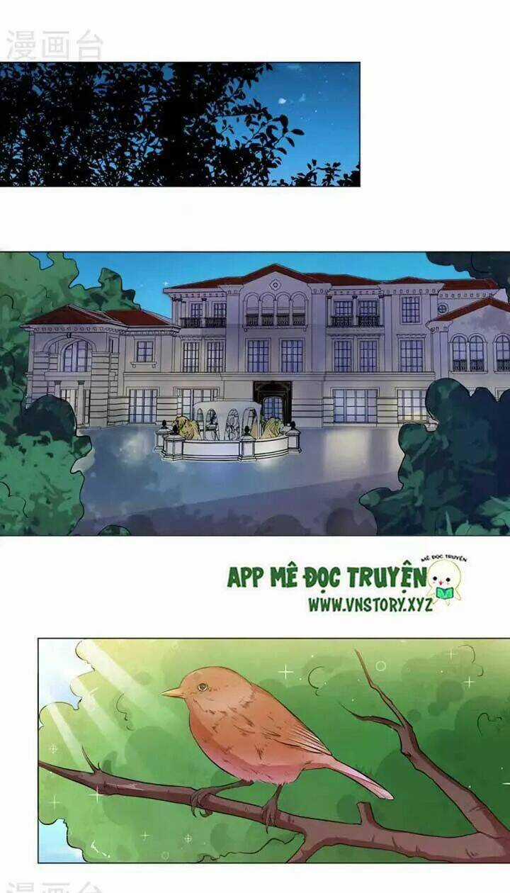 Tổng Tài Đại Nhân Thật Xấu Hổ Chapter 16 trang 4