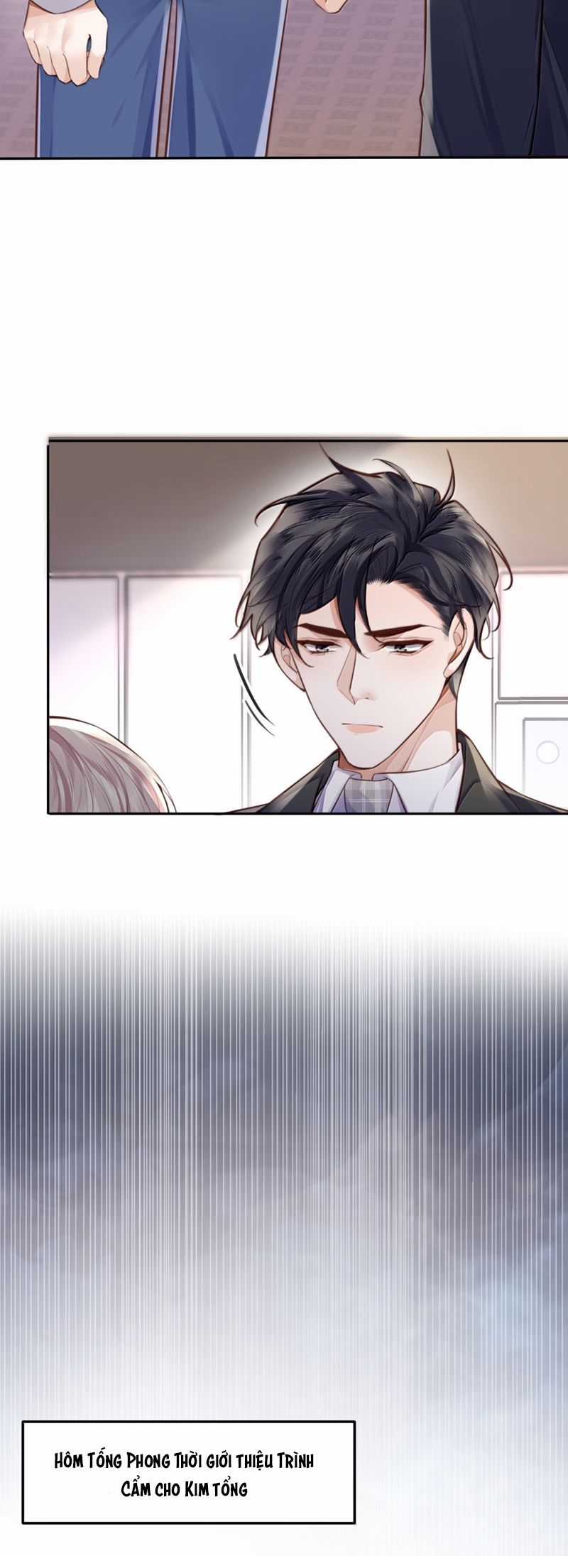 Tổng Tài Định Chế Tư Nhân Chapter 112 trang 13