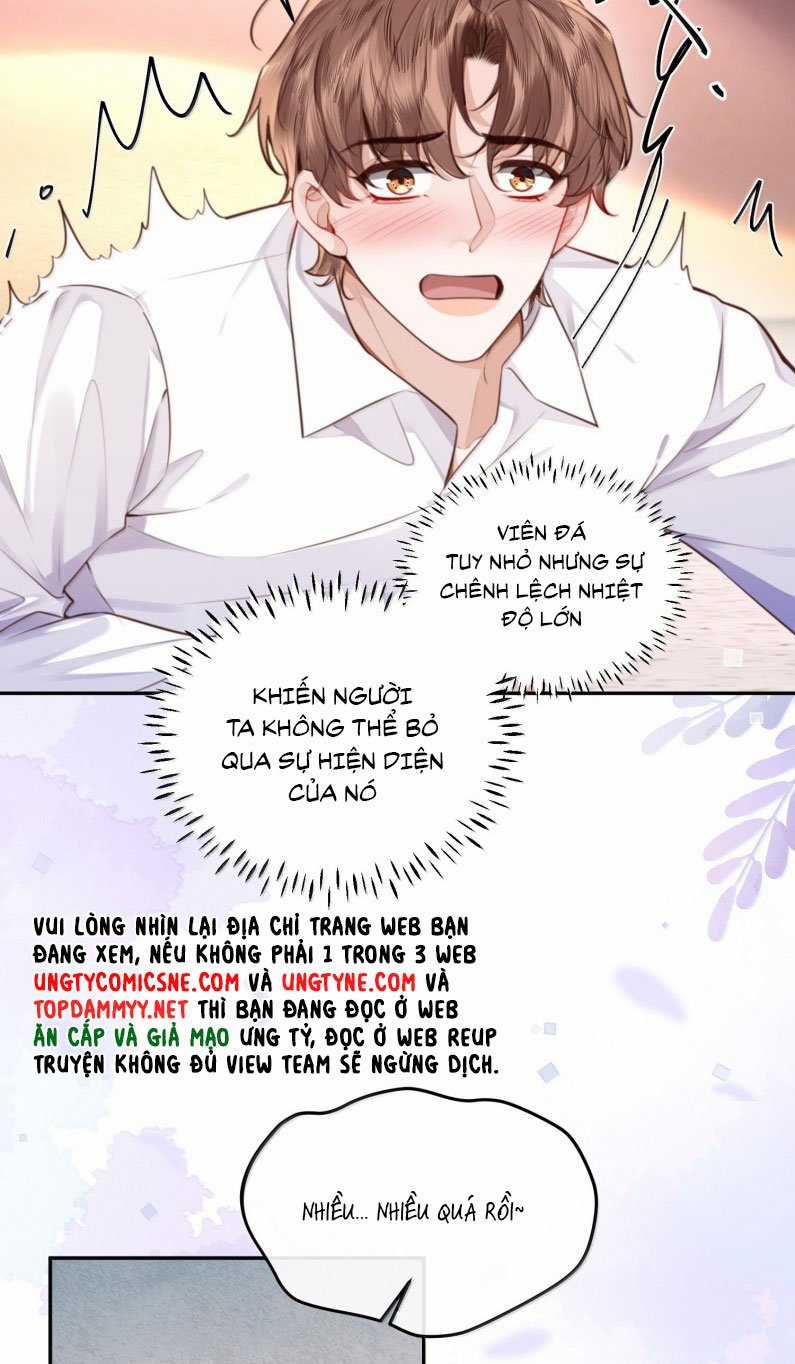 Tổng Tài Định Chế Tư Nhân Chapter 119 trang 14