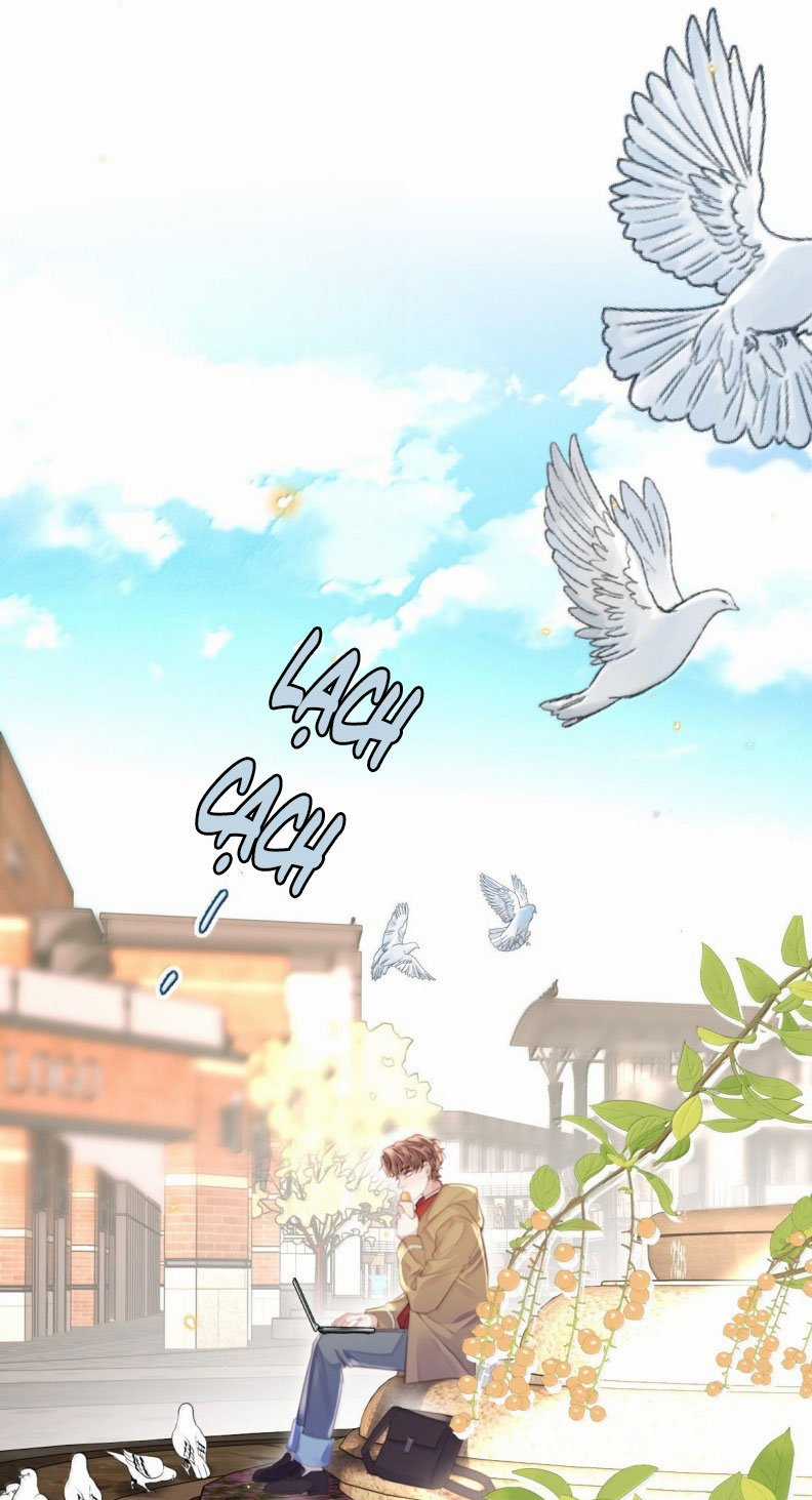 Tổng Tài Định Chế Tư Nhân Chapter 122 trang 11