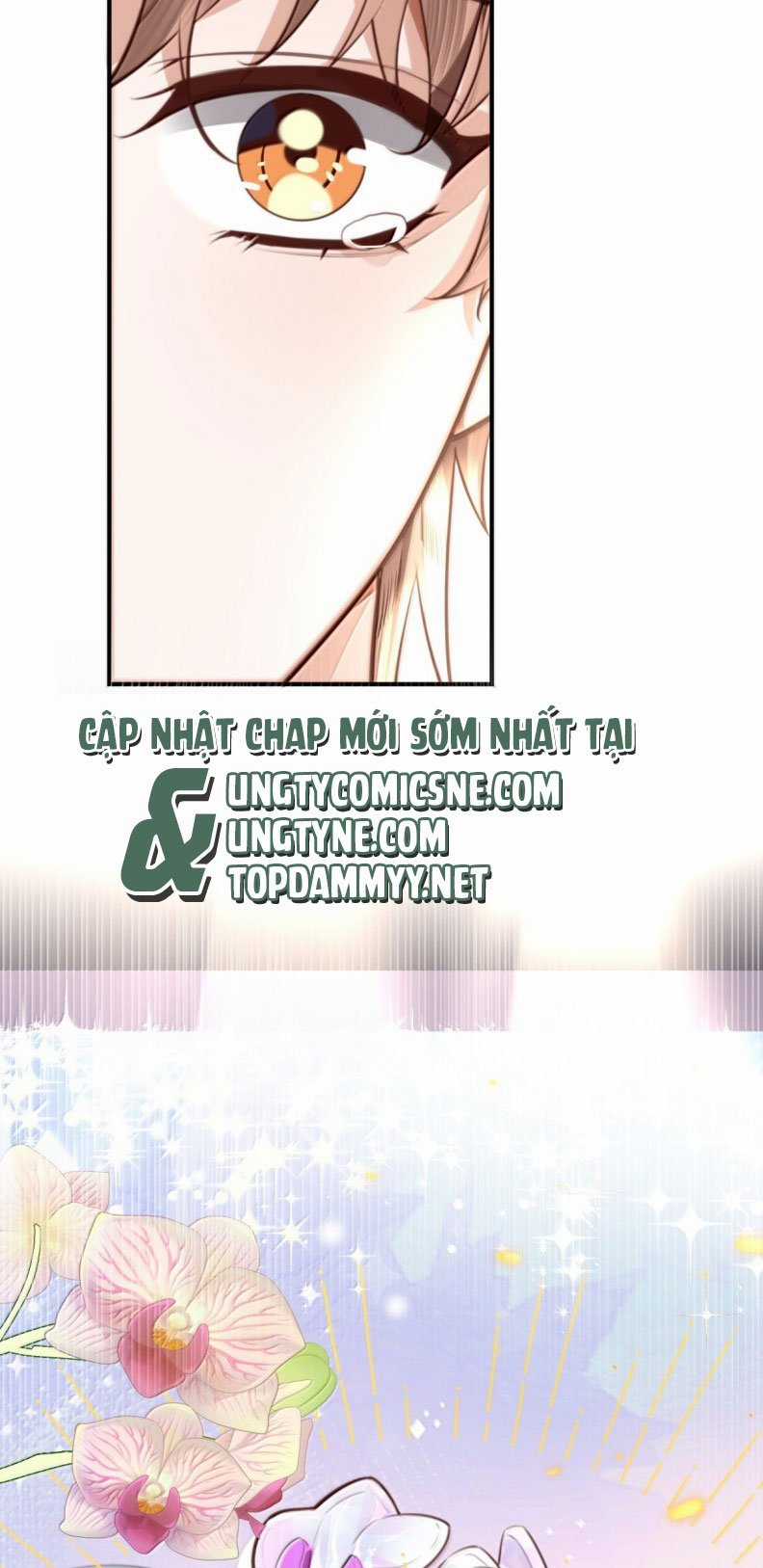 Tổng Tài Định Chế Tư Nhân Chapter 123 trang 30