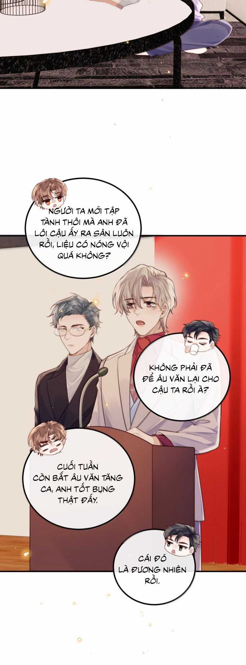 Tổng Tài Định Chế Tư Nhân Chapter 126 trang 13