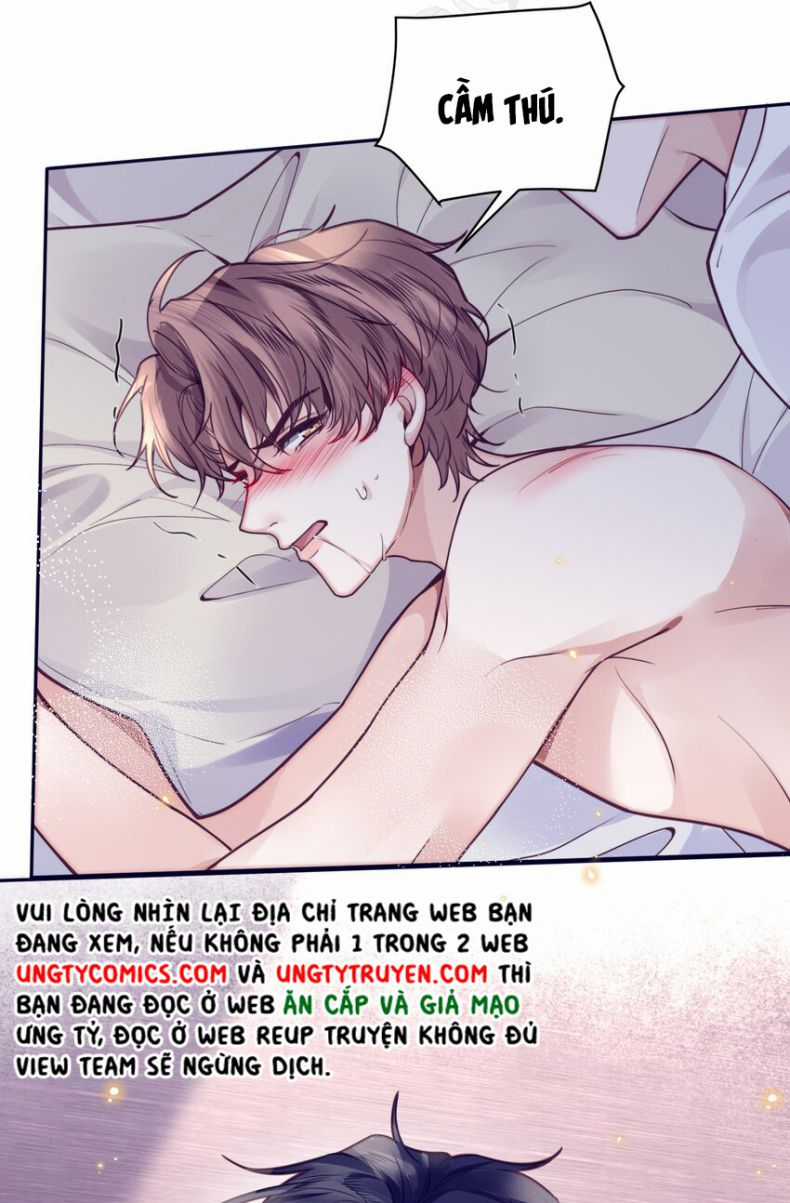 Tổng Tài Định Chế Tư Nhân Chapter 17 trang 12