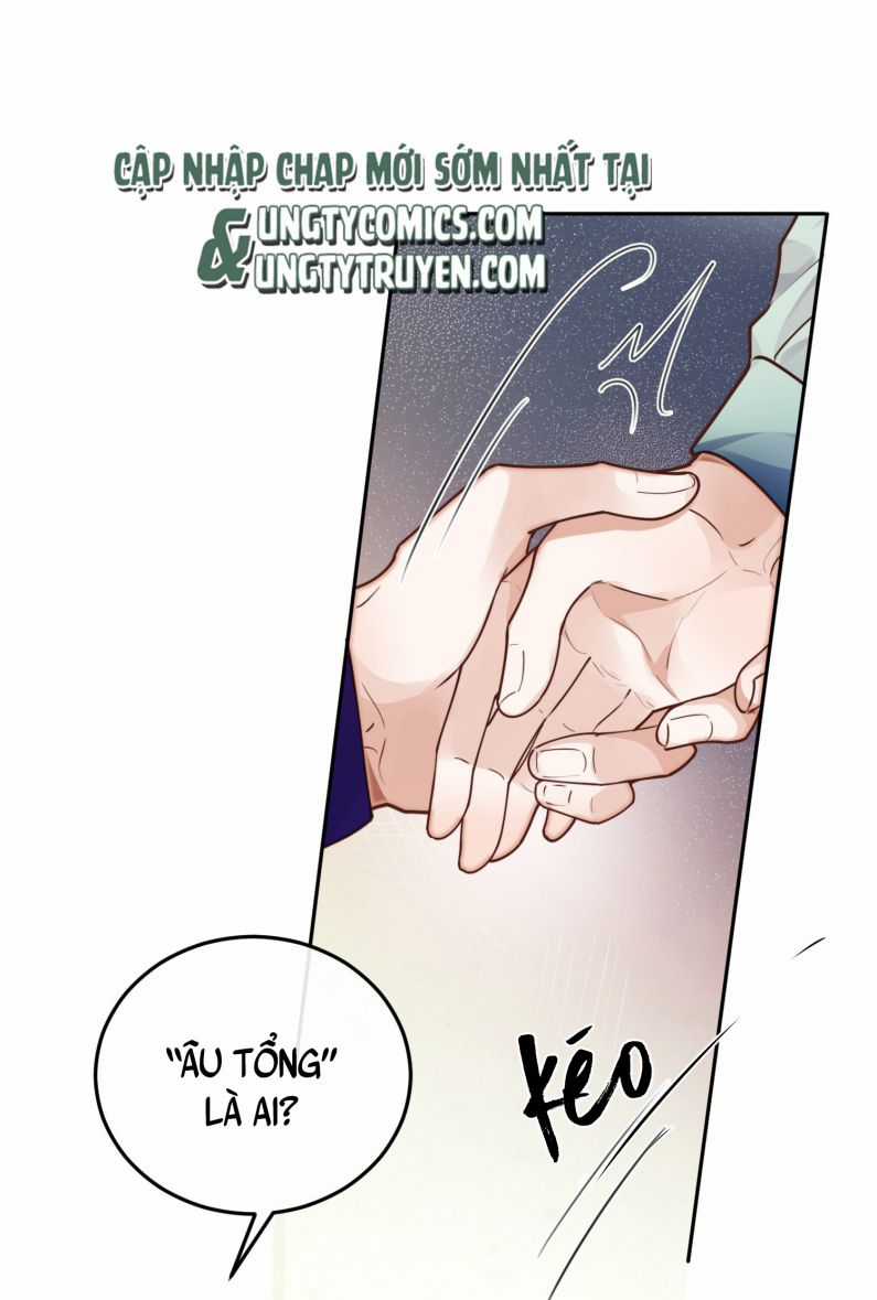 Tổng Tài Định Chế Tư Nhân Chapter 20 trang 19