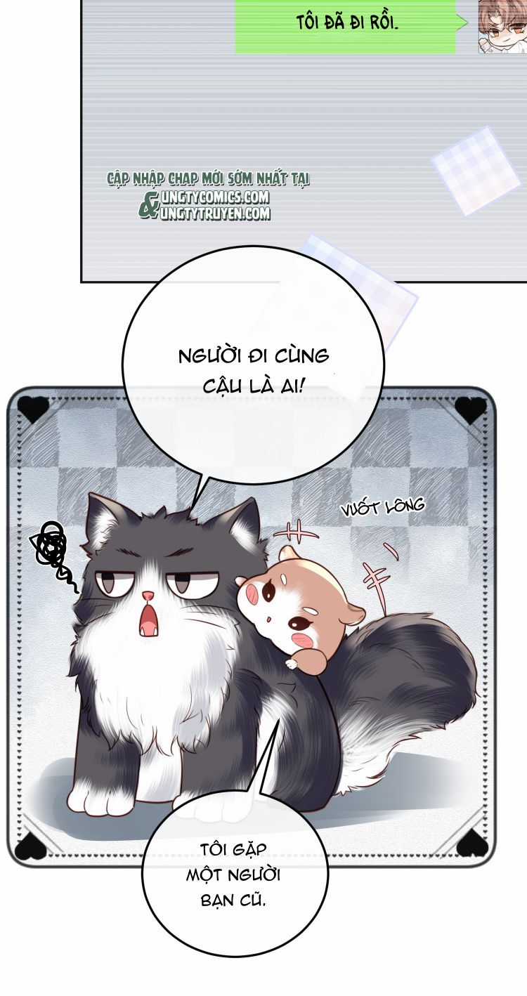 Tổng Tài Định Chế Tư Nhân Chapter 23 trang 3