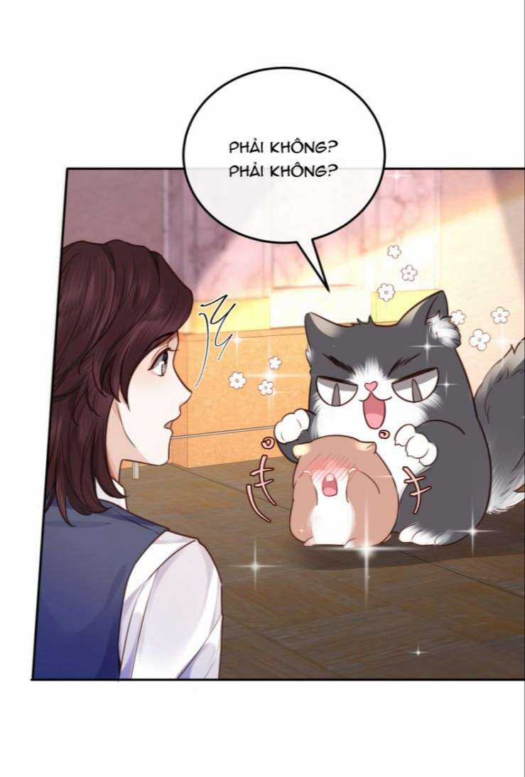 Tổng Tài Định Chế Tư Nhân Chapter 24 trang 19