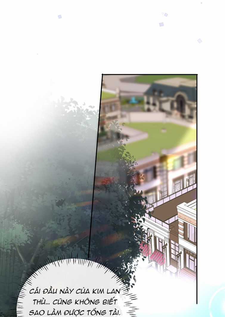 Tổng Tài Định Chế Tư Nhân Chapter 27 trang 20