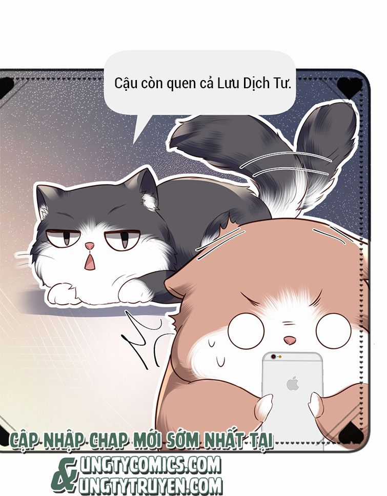 Tổng Tài Định Chế Tư Nhân Chapter 27 trang 38