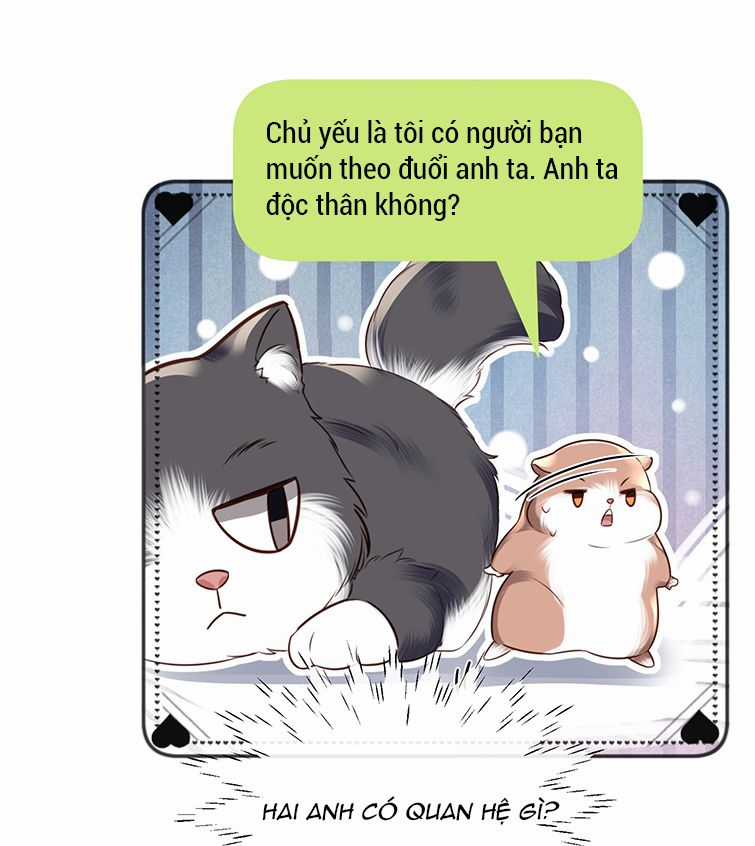 Tổng Tài Định Chế Tư Nhân Chapter 27 trang 39