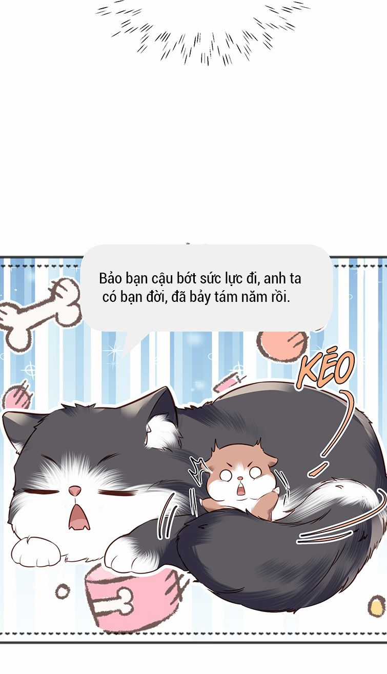 Tổng Tài Định Chế Tư Nhân Chapter 27 trang 40