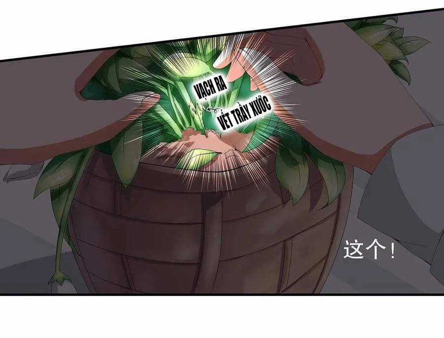 Tổng Tài ! Đừng Trả Hàng Nha ! Chapter 70 trang 14