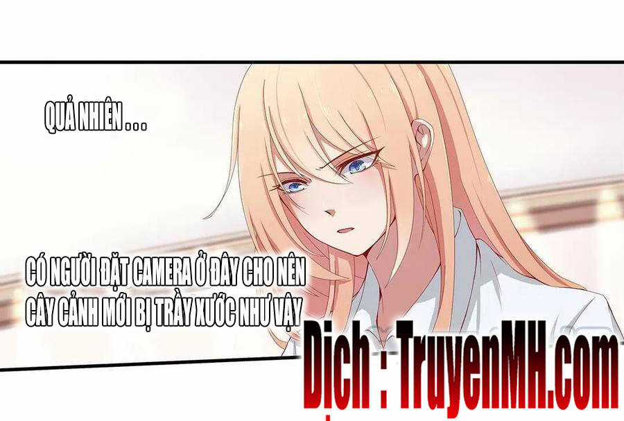 Tổng Tài ! Đừng Trả Hàng Nha ! Chapter 70 trang 15