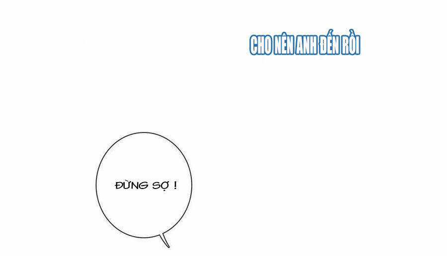 Tổng Tài ! Đừng Trả Hàng Nha ! Chapter 71 trang 13