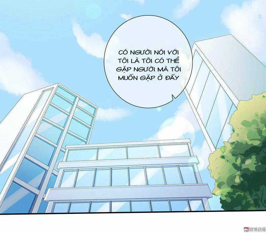 Tổng Tài ! Đừng Trả Hàng Nha ! Chapter 75 trang 17