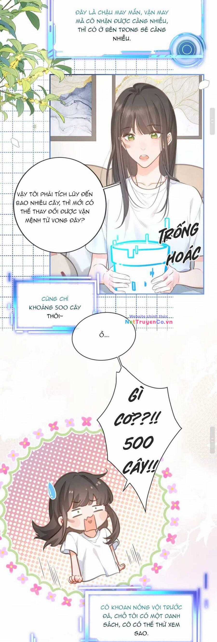 Tổng Tài Đuổi Vợ Lại Khóc Lóc Cầu Xin Vợ Quay Lại Chapter 1 trang 13