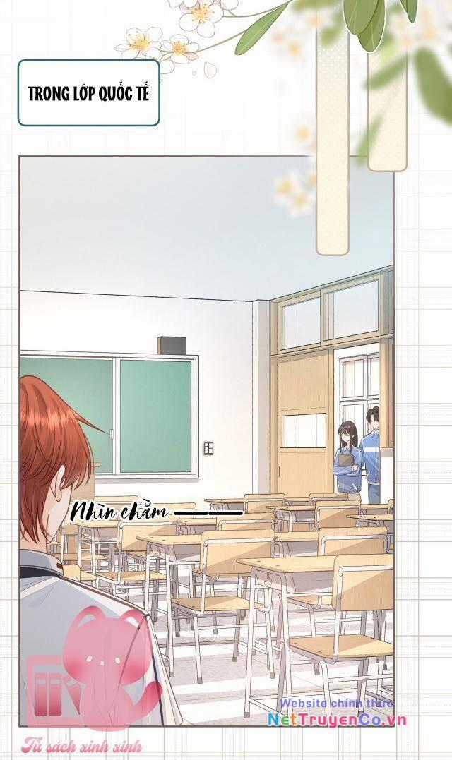 Tổng Tài Đuổi Vợ Lại Khóc Lóc Cầu Xin Vợ Quay Lại Chapter 11 trang 19