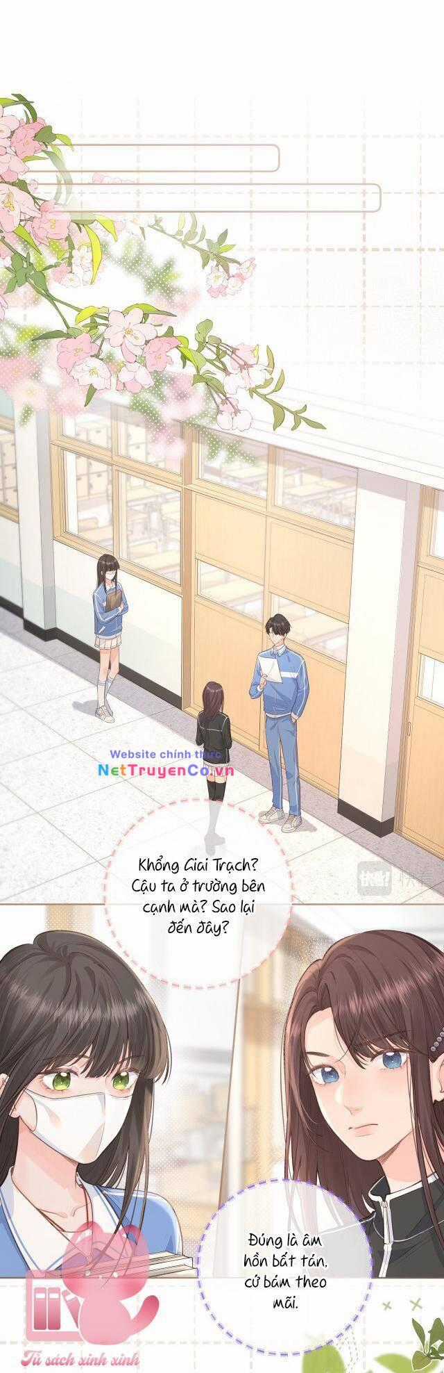 Tổng Tài Đuổi Vợ Lại Khóc Lóc Cầu Xin Vợ Quay Lại Chapter 11 trang 7