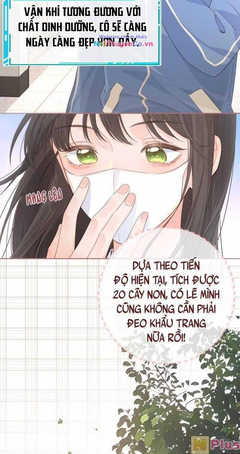 Tổng Tài Đuổi Vợ Lại Khóc Lóc Cầu Xin Vợ Quay Lại Chapter 14 trang 4