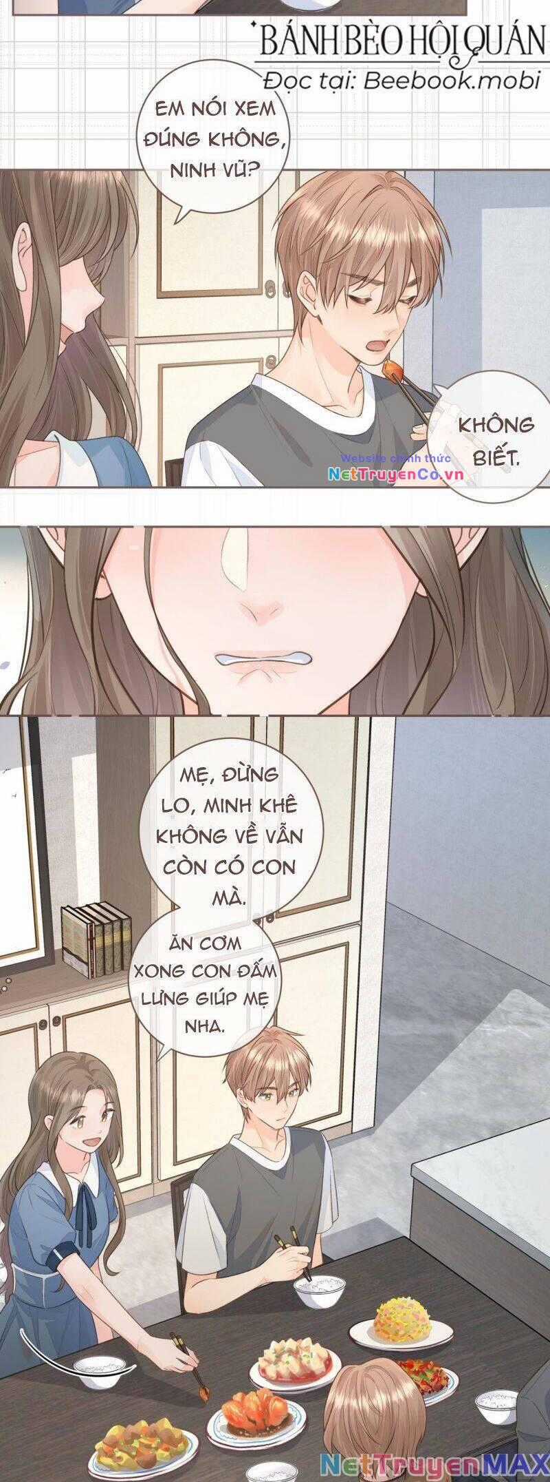 Tổng Tài Đuổi Vợ Lại Khóc Lóc Cầu Xin Vợ Quay Lại Chapter 17 trang 8