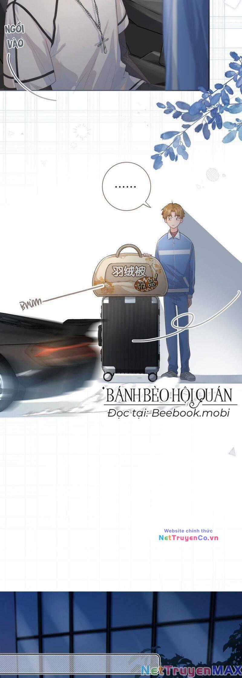 Tổng Tài Đuổi Vợ Lại Khóc Lóc Cầu Xin Vợ Quay Lại Chapter 18 trang 4