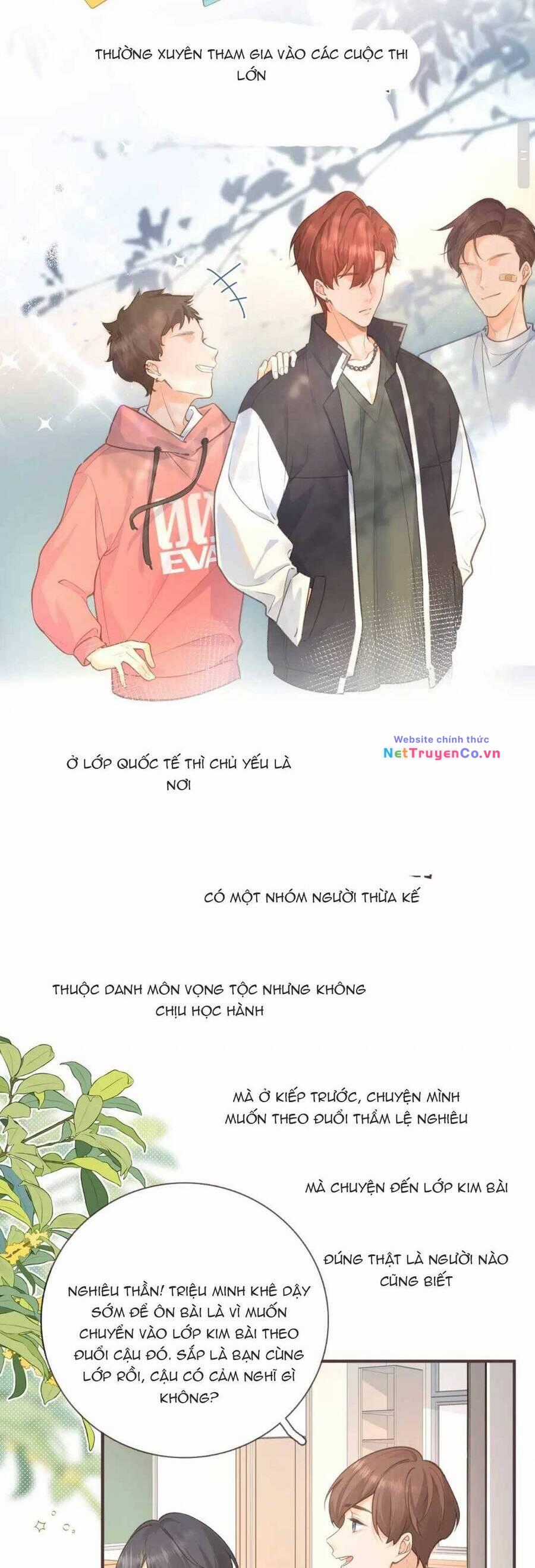 Tổng Tài Đuổi Vợ Lại Khóc Lóc Cầu Xin Vợ Quay Lại Chapter 2 trang 5