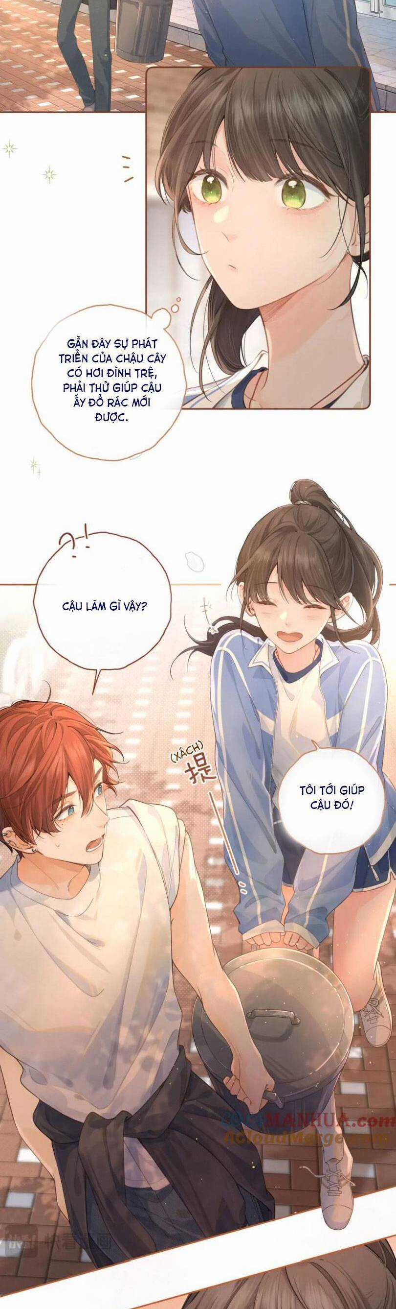 Tổng Tài Đuổi Vợ Lại Khóc Lóc Cầu Xin Vợ Quay Lại Chapter 35 trang 6